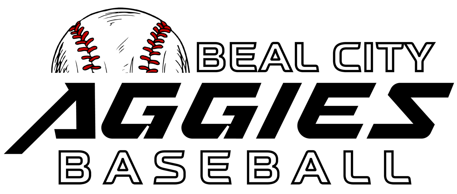 Beal City 2024 Baseball